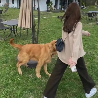 为何我必须死